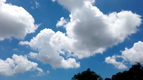 Cloudscape-timelapse-in-Florida,-clouds-forming-and-dissolving-on-a-blue-sky,-puffy-and-fluffy-cloud-as-time-goes-by
