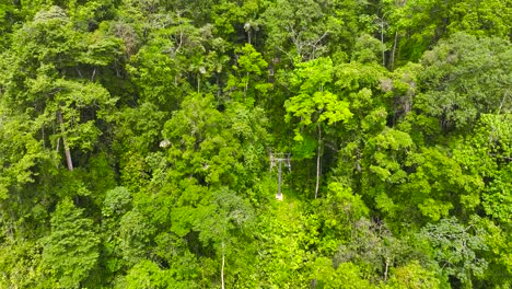 A-cable-car-surrounded-by-lush-vegetation-in-Costa-Rica,-Central-America
