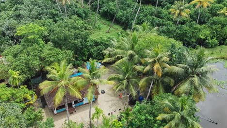 Aerial-view-of-a-rural-house-in-India-,-Little-house-by-the-lake-,-Aerial-view-of-small-houses-standing-in-coconut-groves-