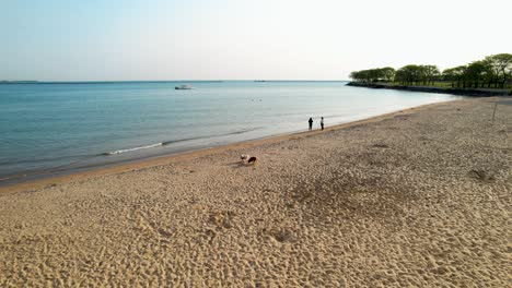 Hunde-Spielen-An-Einem-Leeren-Strand-In-Der-Morgensonne