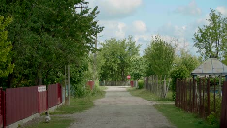 Dirt-path-through-village-in-countryside-surrounded-by-backyard-fences