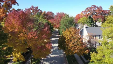 Tree-level-view-of-a-tree-lined-quite-neighborhood-in-autumn