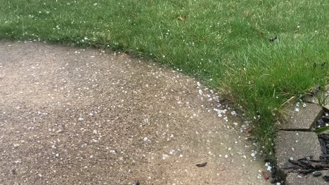 Hail-during-rainstorm-on-a-sidewalk-near-grass,-close-up