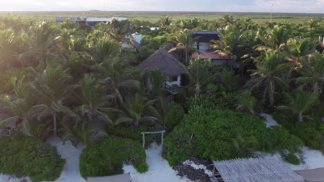 Cabin-in-forested-hotel-resort-in-the-beach-of-Tulum,-Mexico