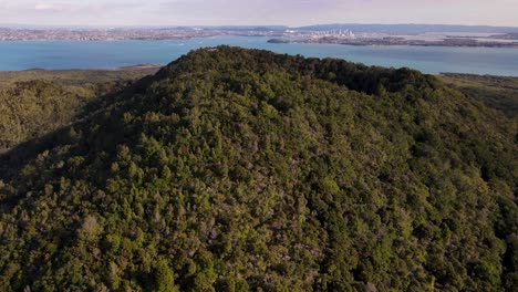 Beautiful-aerial-fly-over-native-forested-volcano-crater,-Auckland-city-on-horizon