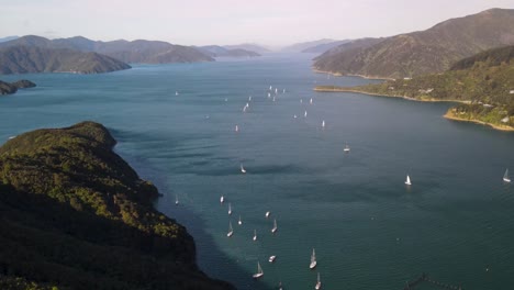Sailboats-Sailing-Across-The-Waikawa-Bay-In-Marlborough,-New-Zealand