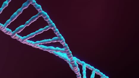 3D-Vertical-video-of-rotating-DNA-double-helix,-isolated-against-background