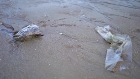 Mahim-dirty-beach-Marine-debris-closeup-view-in-mumbai