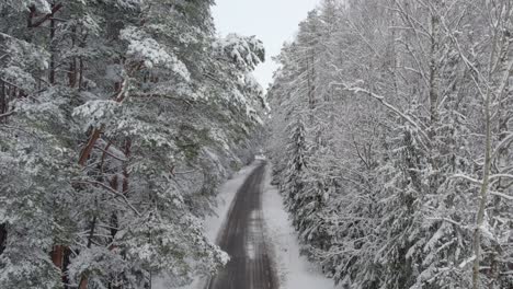 drone-flight-along-asphalt-road-in-magical-snowy-forest