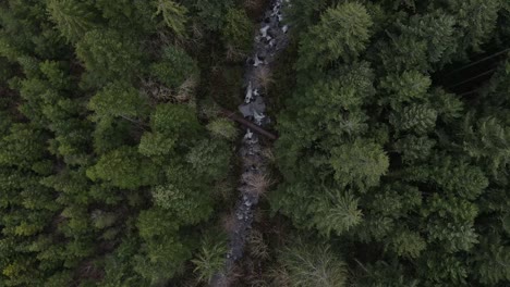 Aerial-movement-with-a-birds-eye-view-of-a-forest-and-a-creek-below-with-a-bridge