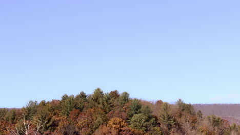 Appalachian-Mountains-landscape-with-blue-sky-and-trees-in-autumn