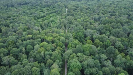 Flying-over-a-road-in-the-middle-of-a-forest,-France