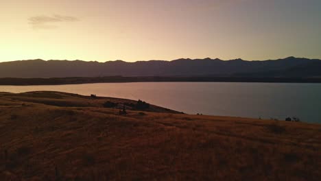 Person-standing-above-Lake-Pukaki,-New-Zealand-at-golden-hour