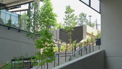 Plano-Medio-De-Las-Escaleras-Del-Parque-Urbano