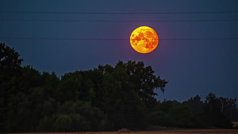 Timelapse-of-orange-full-moon-moving-across-night-sky-over-trees