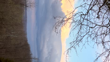 Baum-Weht-In-Starken-Windböen-Mit-Gewitterwolken-In-Der-Ferne