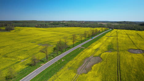 Long-drive-trip-on-breathtaking-Poland-roads-surrounded-by-vibrant-nature