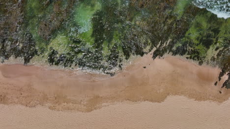 South-Africa-most-stunning-white-sand-beach-epic-surf-wave-rugged-reef-coastline-aerial-drone-cinematic-JBAY-Jeffreys-Bay-WSL-Corona-Open-Supers-Boneyard-summer-morning-green-clear-sea-upward-movement