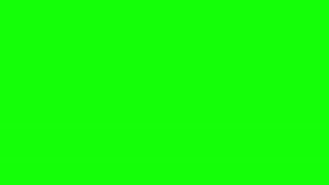 Red-heart-appearing-on-green-screen,-vector-animation-after-double-tap-or-like-on-instagram,-normal-and-slow-motion-speed