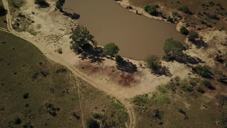 Drohnenaufnahme-Eines-Staudamms-Im-Afrikanischen-Busch-Mit-Elefanten-Im-Hintergrund