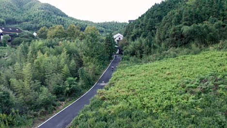Aerial-Shot-of-Person-Driving-Scooter-Down-Road-in-Bamboo-Forest