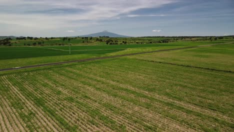 Drone-captures-the-aerial-view-of-the-Malinche-volcano-can-be-seen-in-the-distance-behind-the-green-fields-of-Tlaxcala,-Mexico,-which-are-covered-with-dense-green-vegetation