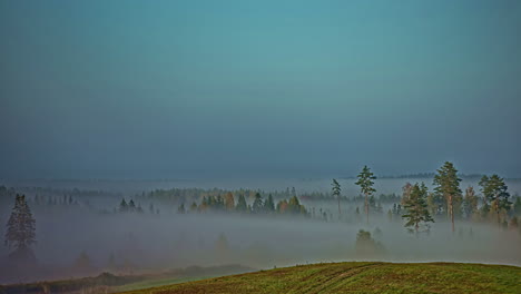 Low-lying-fog-in-the-forest-valley---mystical-time-lapse