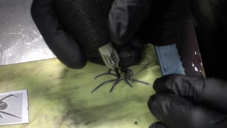 A-tattoo-artist-drawing-a-black-widow-on-synthetic-skin