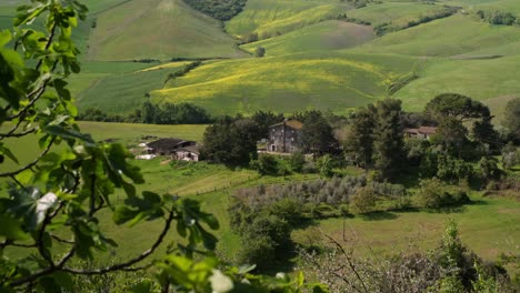 House-in-a-field-in-Tuscany,-Italy