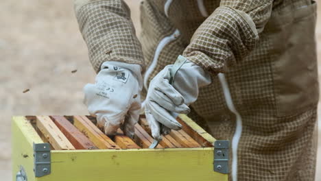 Closeup-of-apiarist-extracting-frame-with-honeybees-from-beehive-box,-slowmo