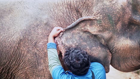 Elephant-sanctuary-veterinarian-checking-elephant's-ear-for-parasites