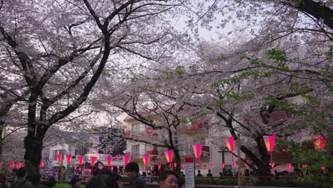 Sakura-Festival-along-the-Nakameguro-River,-Spring-in-Tokyo