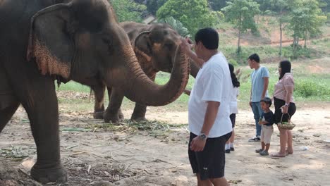 An-Asian-family-of-tourists-feed-Indian-Elephants-in-an-Elephant-camp-in-Asia,-Thailand