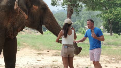 Una-Pareja-De-Turistas-Alimenta-A-Elefantes-Indios-En-Un-Campamento-De-Elefantes-En-Asia,-Tailandia.