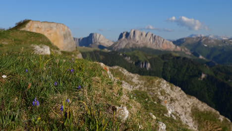 Lila-Wildblumen-Und-Unkraut-Flattern-Im-Wind-Am-Grasbewachsenen-Hang-Des-Kavkaz-Berges