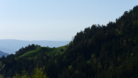Statische-Handheld-Ansicht-Des-Kiefernwaldes-Auf-Der-Exponierten-Bergkette-Des-Kavkaz-Berges