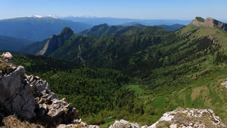 Weitläufiger-Grüner-Kiefernwald-Mit-Panoramablick-Auf-Den-Kawkaz-Berg-Im-Kaukasus