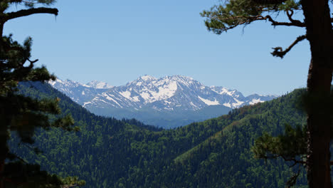 Kavkaz-Gebirge-Durch-Kiefern-Im-Vordergrund-Mit-Blick-Auf-Den-Schneebedeckten-Talrücken