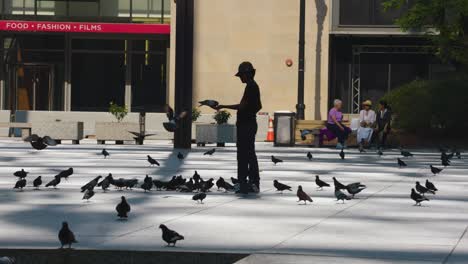 a-young-boy-in-silhouette-is-having-fun-with-the-pigeons-on-a-sunny-day-in-the-city