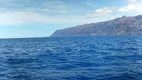 Bottlenose-Dolphins-surfacing-in-Tenerife
