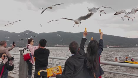 Excited-Chinese-tourists-feed-herd-of-seagulls-at-a-pier-on-windy-day-in-China