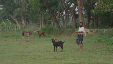 Village-man-with-goat-goat-eating-grass-on-a-grass-field-rural-view-of-Bangladesh