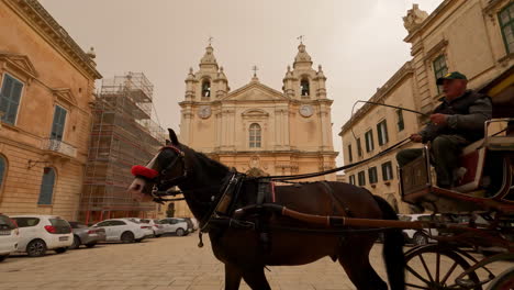 Horse-and-buggy-carriage-outside-of-Mdina-Malta-city-walls