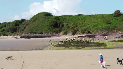 Traeth-Lligwy-Anglesey-sandy-beach-dog-walker-and-group-of-marine-biology-surveyors-exploring-algae-patch