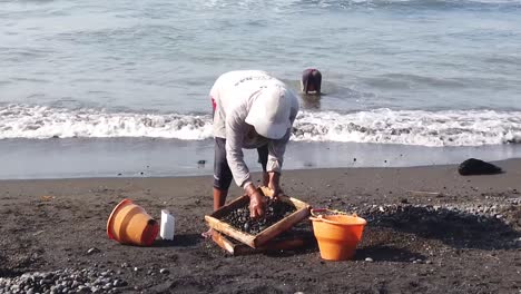 Traditional-Construction-Worker-Picks-Up-Black-Stones-from-The-Beach,-Bali-Asia-Indonesia