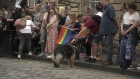 Capture-the-lively-scene-as-people,-including-a-camera-man,-kids,-family,-and-a-dog,-eagerly-wait-at-the-iconic-Royal-Mile-for-the-thrilling-pride-march