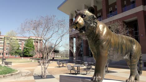 Bronze-tiger-statue-on-the-campus-of-the-University-of-Memphis-in-Memphis,-Tennessee-with-video-panning-right-to-left