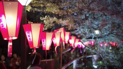 Sakura-Matsuri-Laternen-In-Der-Nacht-Entlang-Des-Meguro-Flusses-In-Tokio