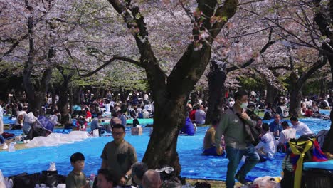 Japanese-Crowds-Celebrate-End-of-Lockdown-Restrictions-with-Flower-Viewing-Party