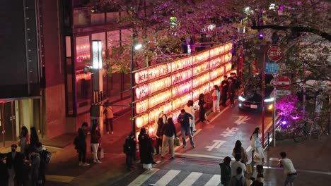 Japanese-People-Taking-Photos-at-Sakura-Road-with-Lanterns-on-Road